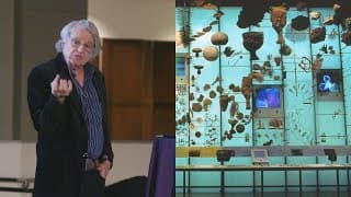 YouTube search query: "The Sixth Extinction: Understanding Biodiversity Loss"