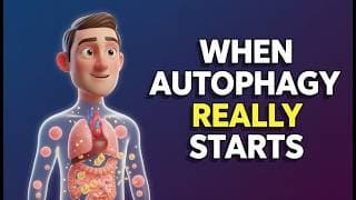How Long Could You Fast Before Triggering Autophagy (Science Explained)