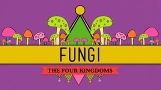 Fungi: Death Becomes Them - CrashCourse Biology #39